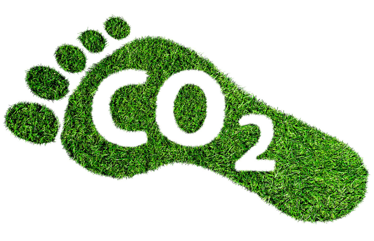 Carbon Footprint Carbon Footprint