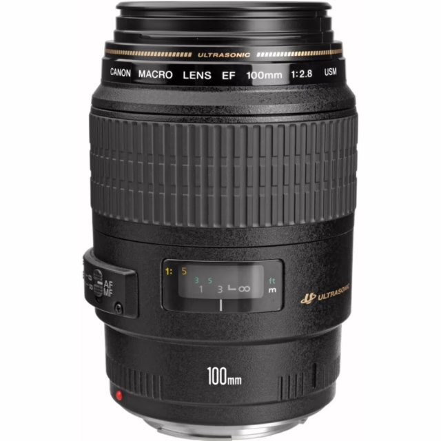 Canon EF 100mm f/2.8 Macro Lens