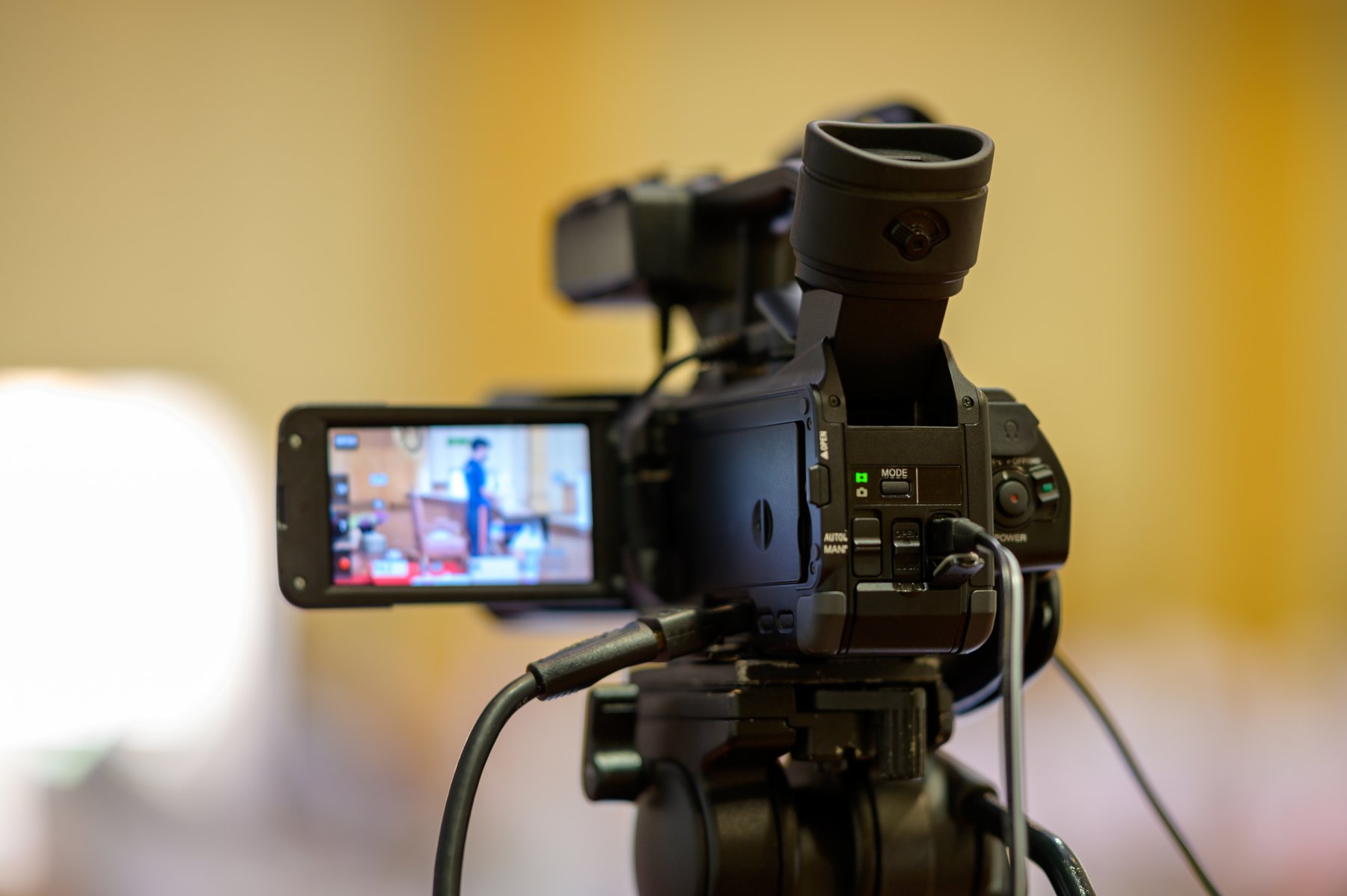 Professional video camera and monitor recording an interview